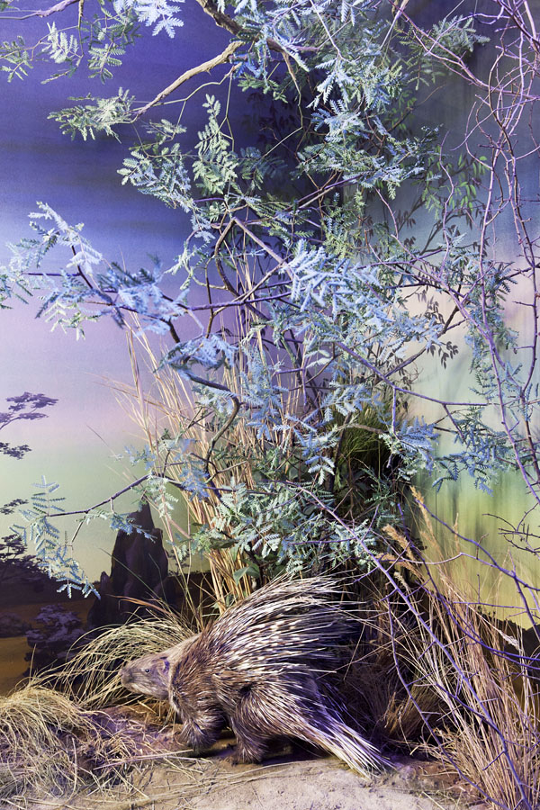 Miriam Künzli - Portfolio