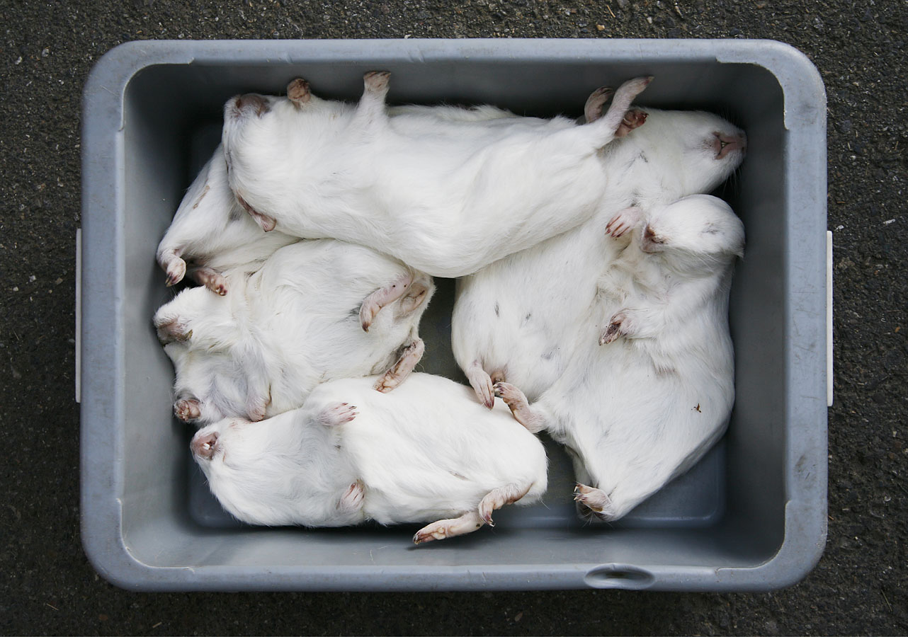 Miriam Künzli - Portfolio