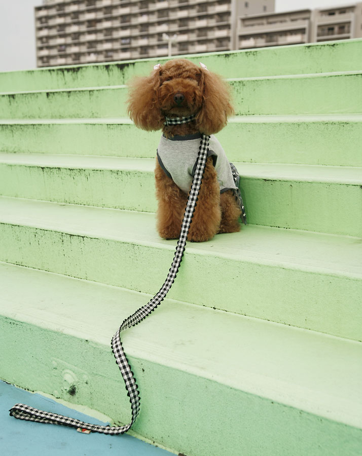 Miriam Künzli - Portfolio