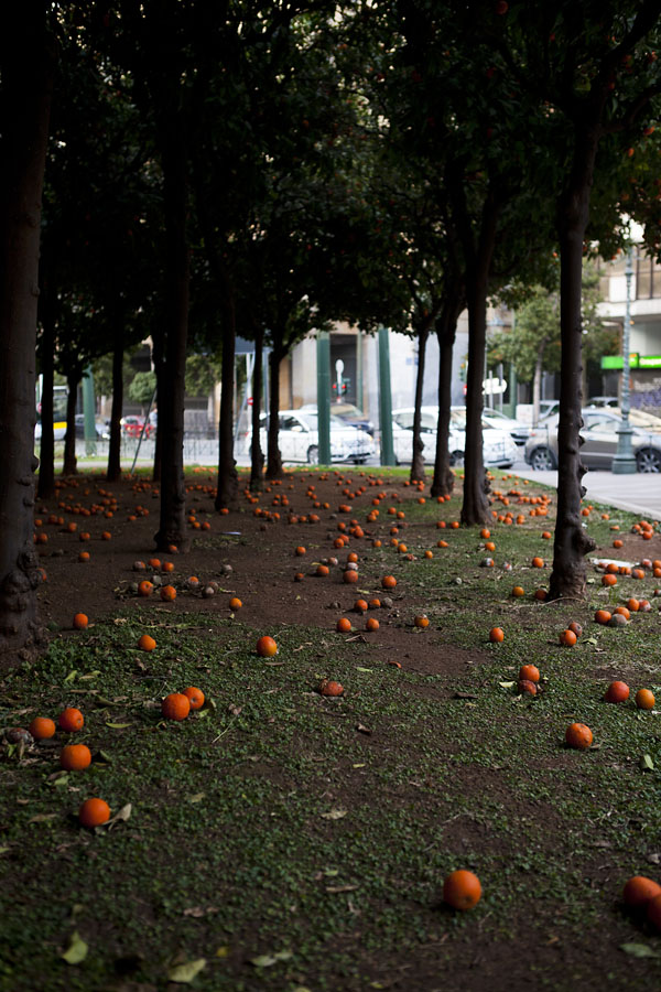 Miriam Künzli - Portfolio