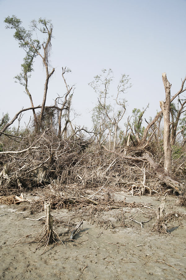 Miriam Künzli - Portfolio